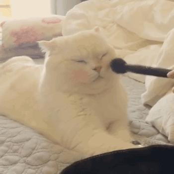 今儿你们都去买买买吧，在厨房打败Gucci、Channel美妆的事放着我来（附8个自制美妆方子）