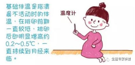 刚生育的女性要关注什么,有生育要求的女性