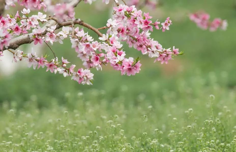 我有一座美丽的海岛,我有一座海岛免费下载