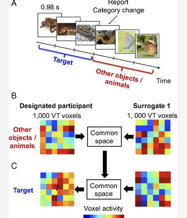 最新超级血液疗法有望治愈癌症：红细胞替代缺失酶