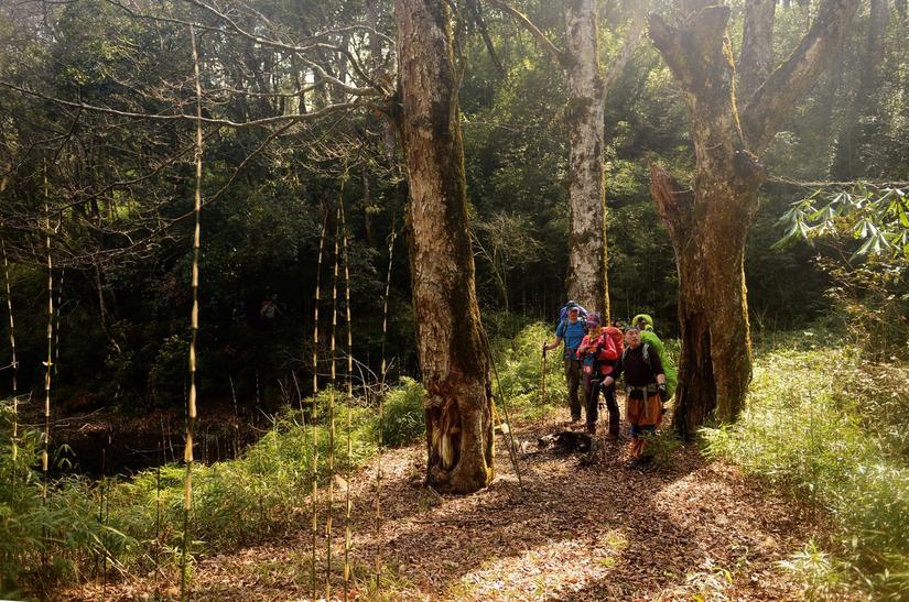穿越小雷公坪,小雷公实战视频