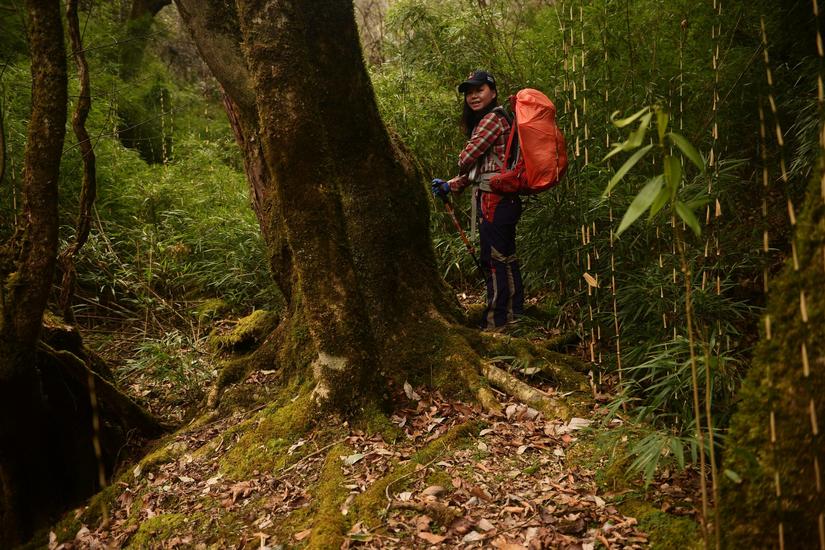 穿越小雷公坪,小雷公实战视频