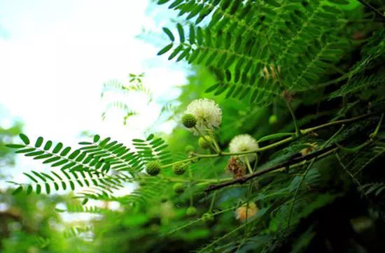我有一座美丽的海岛,我有一座海岛免费下载