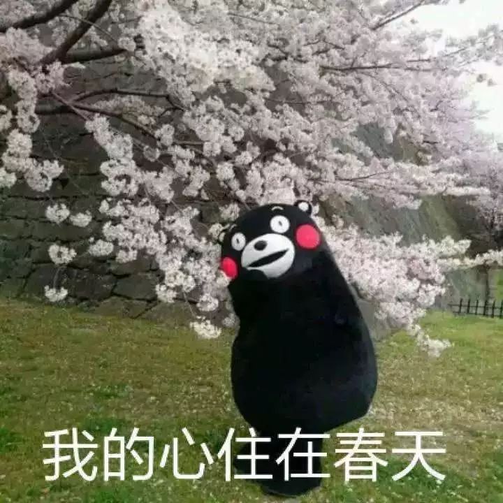 那些被粉色支配的恐惧,春天到了焦虑怎么办