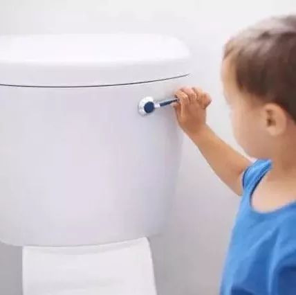 陈小鲁猝死的教训：厕所是家中最危险的地方