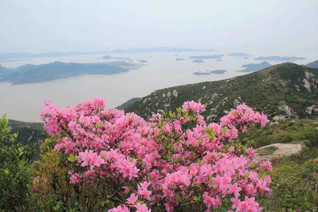 我有一座美丽的海岛,我有一座海岛免费下载