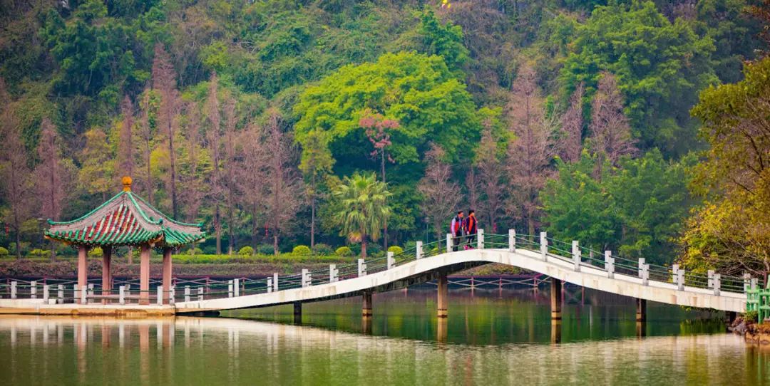 2月16到3月31免门票的地方,七星岩攻略一日游门票