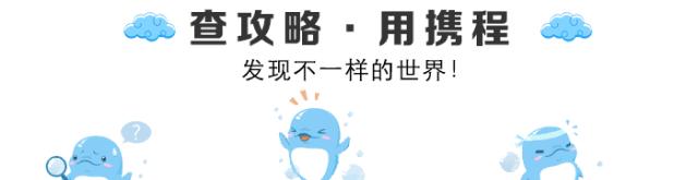 揭秘代购行业内幕美妆,揭秘代购专柜骗局