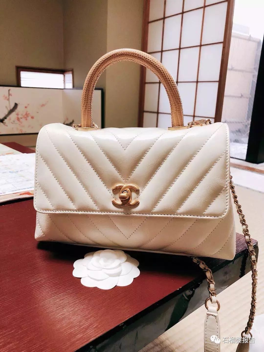 好看的包包推荐春夏,好多新包包