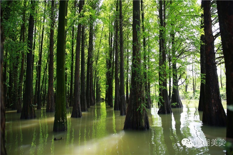 2月16到3月31免门票的地方,七星岩攻略一日游门票