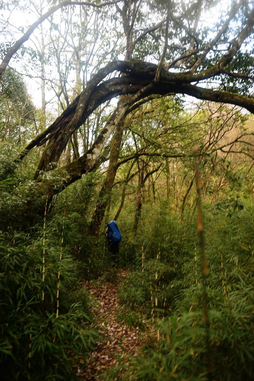 穿越小雷公坪,小雷公实战视频