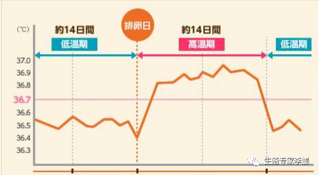 刚生育的女性要关注什么,有生育要求的女性