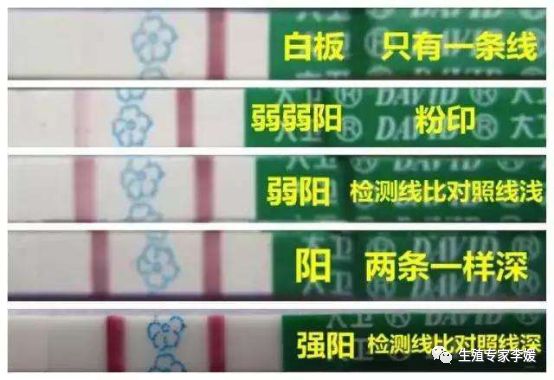 刚生育的女性要关注什么,有生育要求的女性