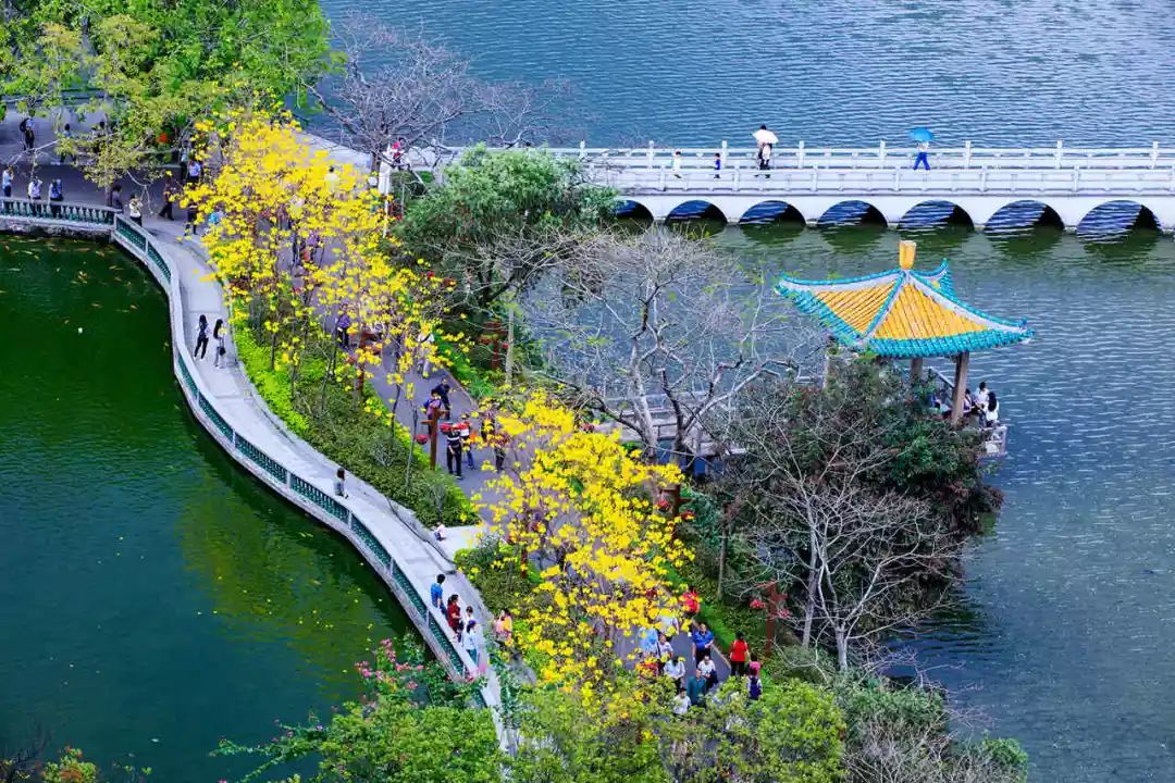 2月16到3月31免门票的地方,七星岩攻略一日游门票