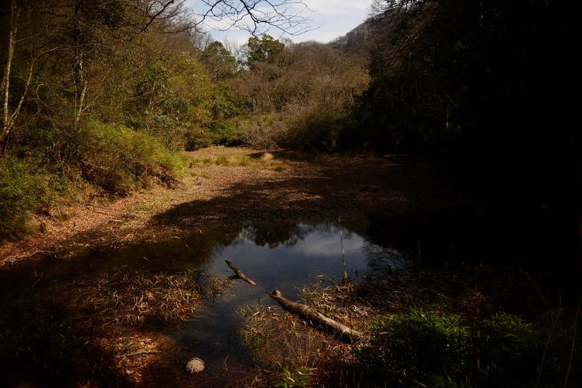 穿越小雷公坪,小雷公实战视频