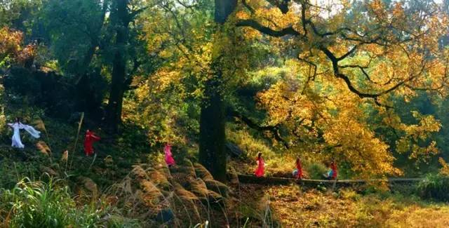 最美无锡美景推荐,最惊艳的无锡美景