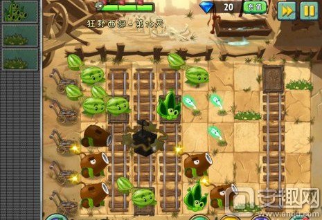 植物大战僵尸2狂野西部第19天攻略,植物大战僵尸2狂野西部第9天攻略