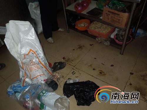 饭店厨房脏乱差老鼠蟑螂到处爬,厨房脏乱差老鼠蟑螂到处爬