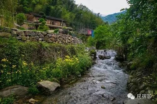 初夏，感受溪水的清凉，就去这几家溪畔民宿