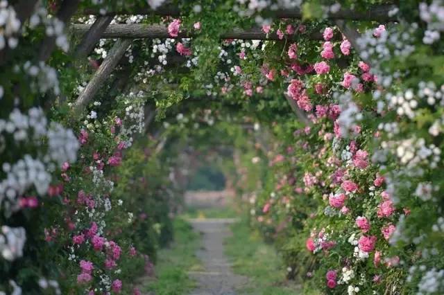 最美无锡美景推荐,最惊艳的无锡美景