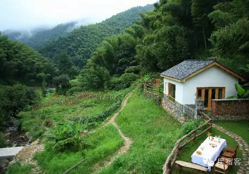 初夏，感受溪水的清凉，就去这几家溪畔民宿