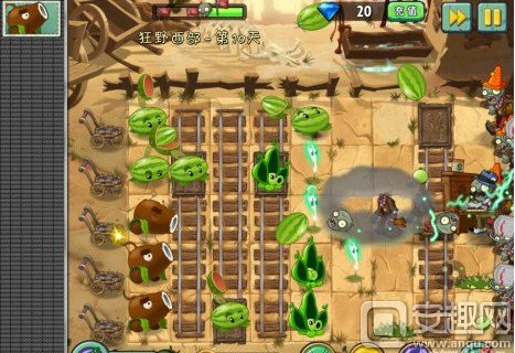植物大战僵尸2狂野西部第19天攻略,植物大战僵尸2狂野西部第9天攻略