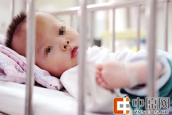 新生儿病房内的袋鼠妈妈,90后袋鼠妈妈