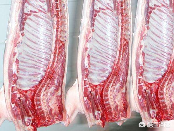 人死后遗体为什么会腐烂,人死后尸体为什么变重