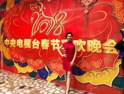 中华手拉手春晚表演名单,中华手拉手2018春晚