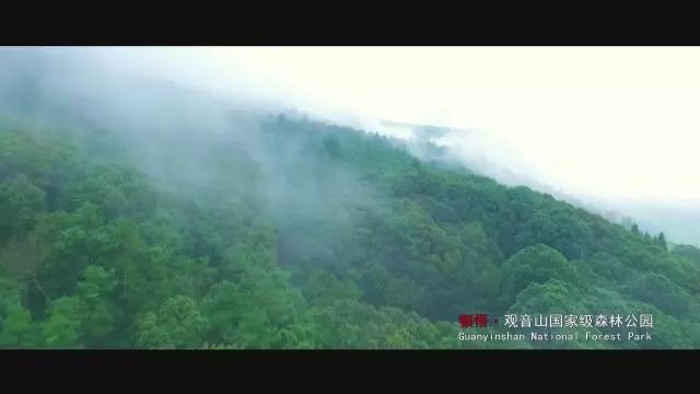 泸西游玩推荐,泸西旅游攻略必去景点推荐