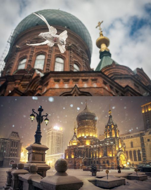 哈尔滨春节旅游攻略自由行 (哈尔滨春节期间适合去哪里玩)