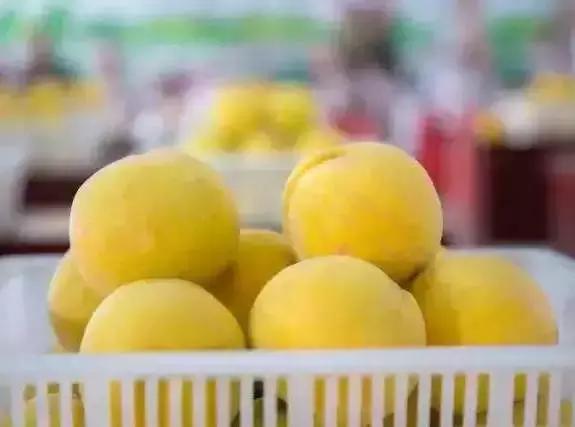 最全的上海美食盘点最想吃哪一个,上海十大美食排行榜最新