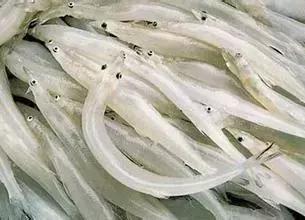 最全的上海美食盘点最想吃哪一个,上海十大美食排行榜最新