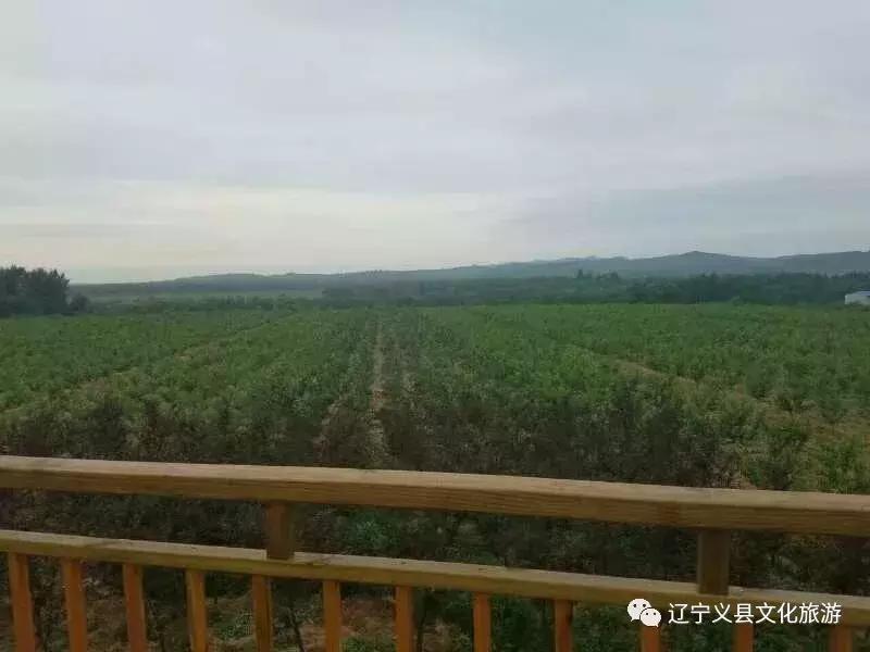 涓囦經鍫傜敓鎬佸洯浼樻儬,涓囦經鍫傜敓鎬佸洯浼樻儬鍥㈣喘