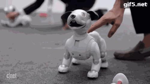 看门狗十大必备事情,看门狗开门锁