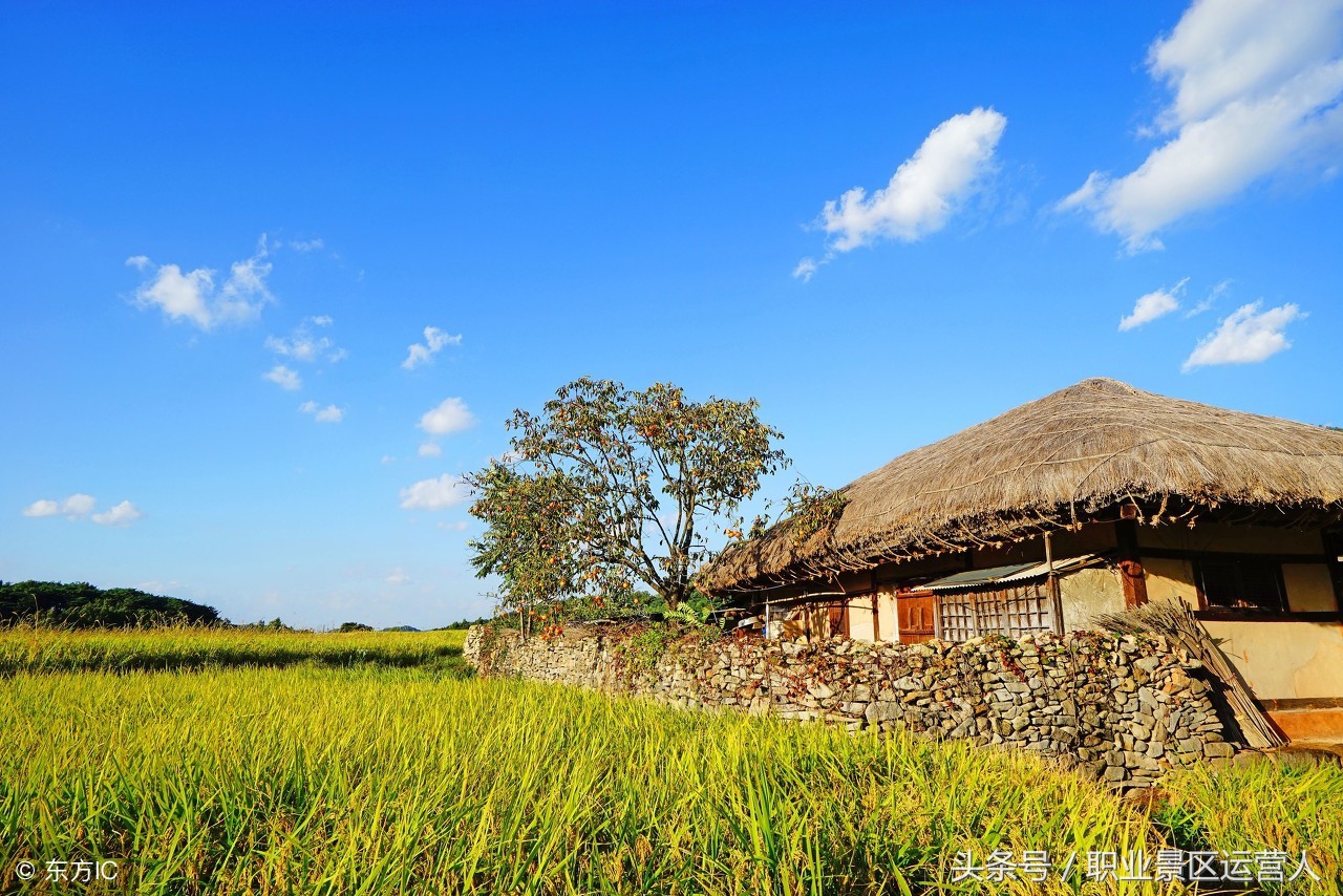 现在搞农业旅游怎么样,在农村想搞投资要找哪个部门