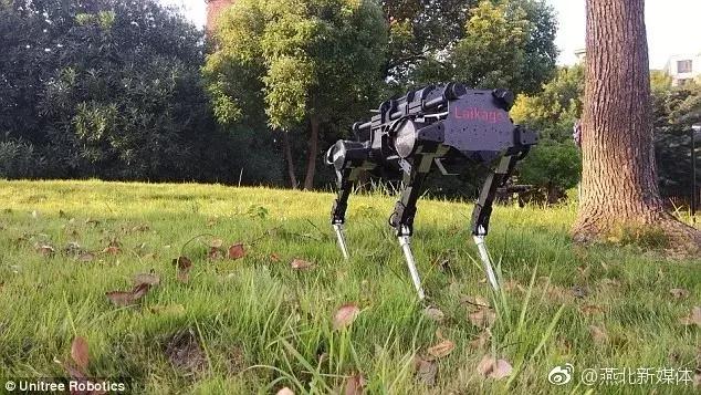 看门狗十大必备事情,看门狗开门锁