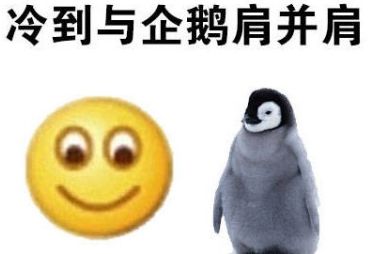 哈尔滨春节旅游攻略自由行 (哈尔滨春节期间适合去哪里玩)