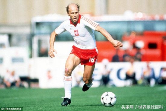 1974世界杯巴西荷兰,1974世界杯夺冠历程