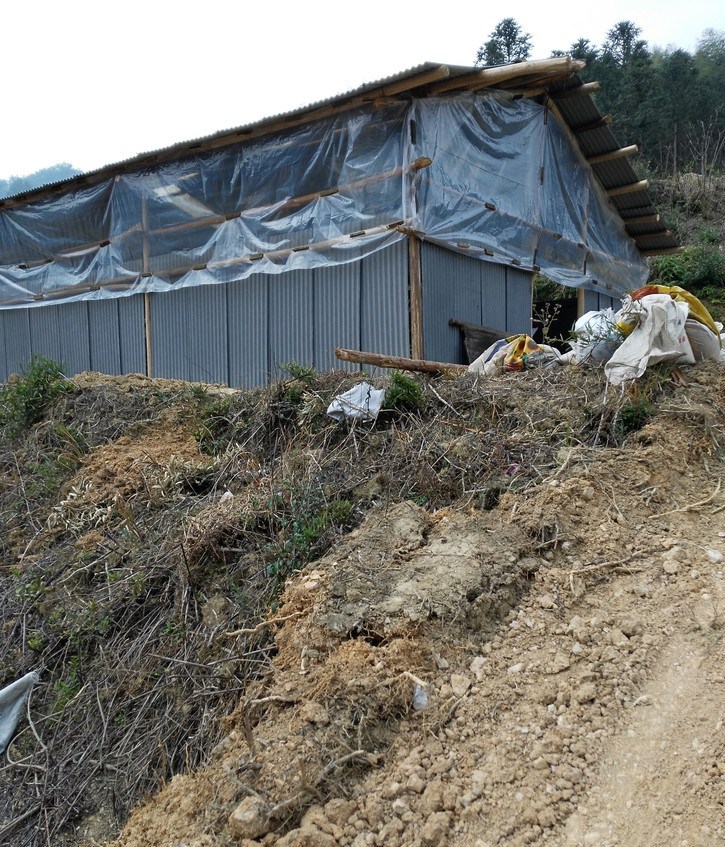 90后小伙通过网恋与女友结婚,90后小伙借贷逃回村里