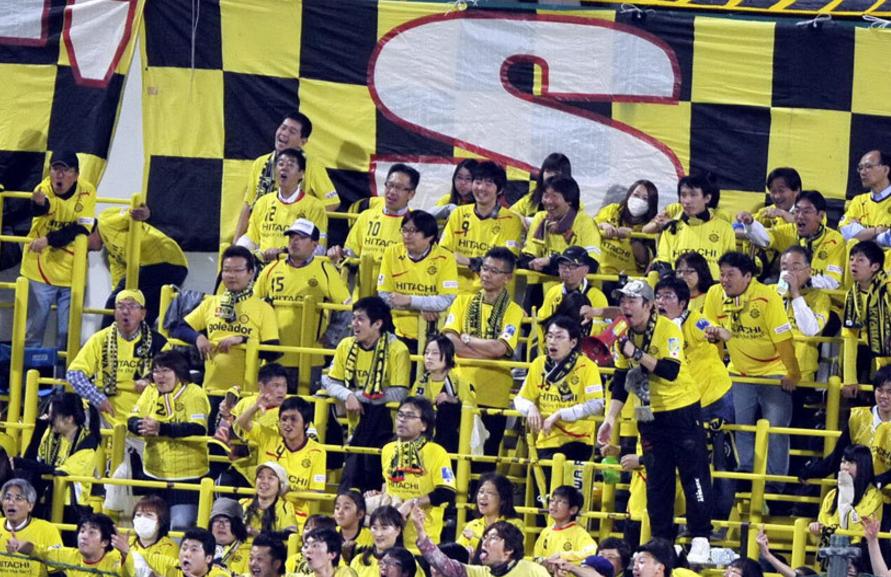 权健对柏太阳神,天津权健vs柏太阳神