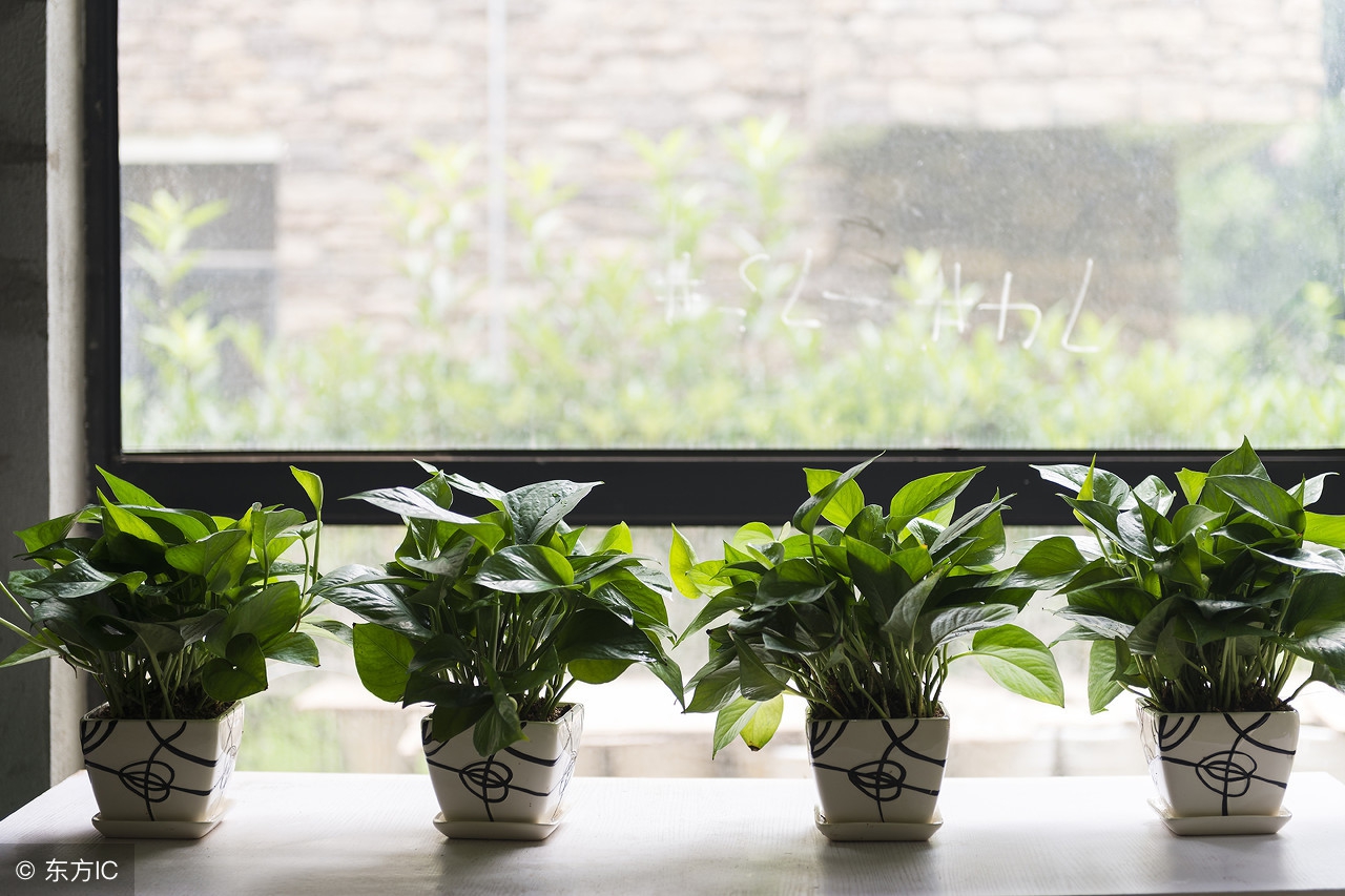 这个实验，能证明“微波加热有害”吗？