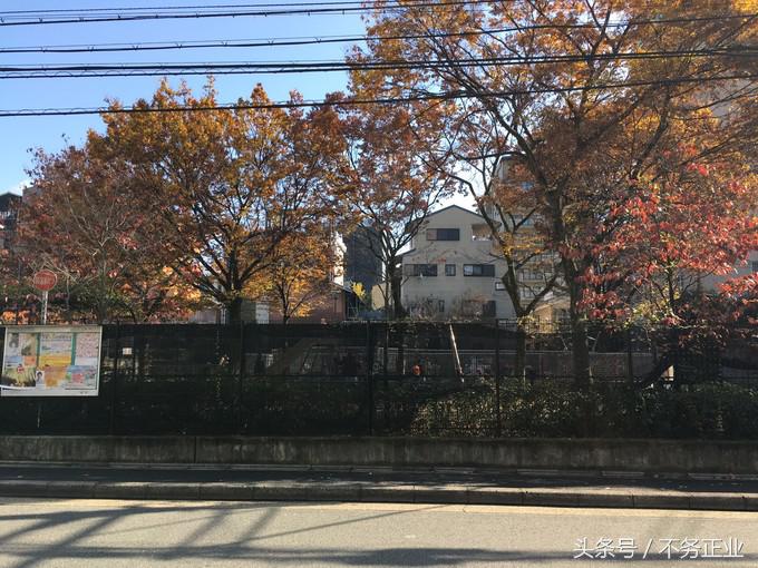 旅行|CoordinateBook06-No.535.0116°N,135.7680°E京都