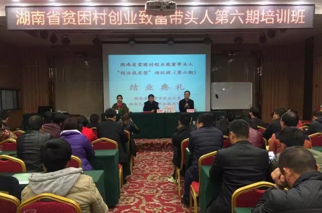 90后小伙通过网恋与女友结婚,90后小伙借贷逃回村里