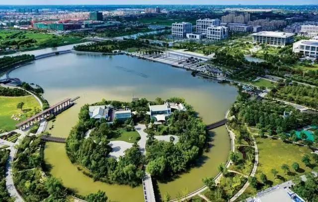 最全的上海美食盘点最想吃哪一个,上海十大美食排行榜最新