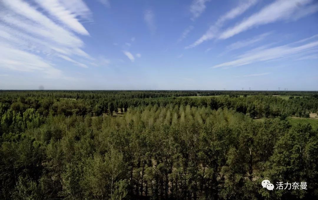 45万人的名片，太漂亮了！！《奈曼人的名片》最新版，45万次！！！精工打造！！！