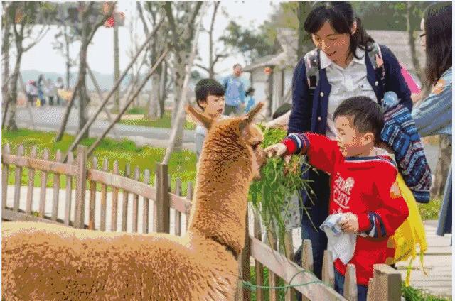 亲子游好去处！番禺周边的农家乐、游乐场、文化园…充实又好玩！