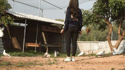 亲子游好去处！番禺周边的农家乐、游乐场、文化园…充实又好玩！