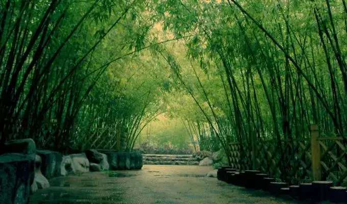 宁可食无肉,不可居无竹,精美的竹根雕作品欣赏