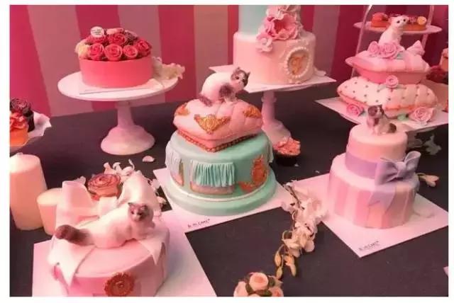 还珠三姐妹现在怎样了,还珠三姐妹怎么样